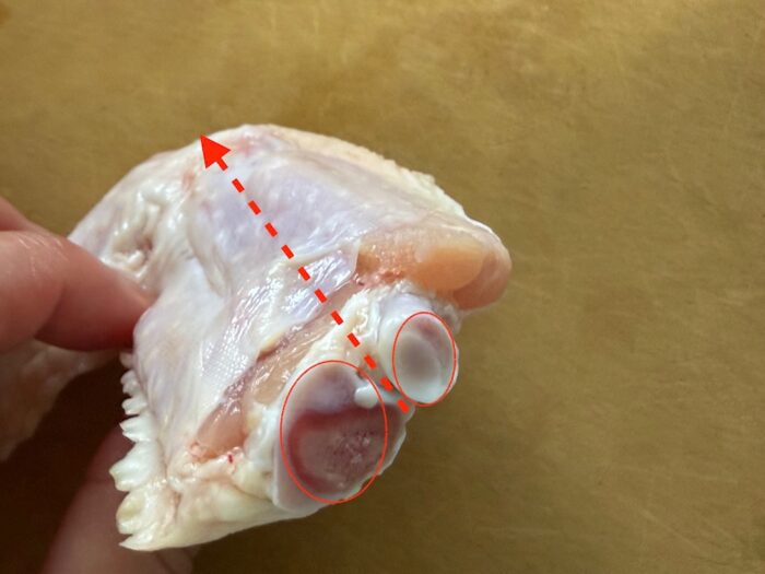 ここに刃を入れる